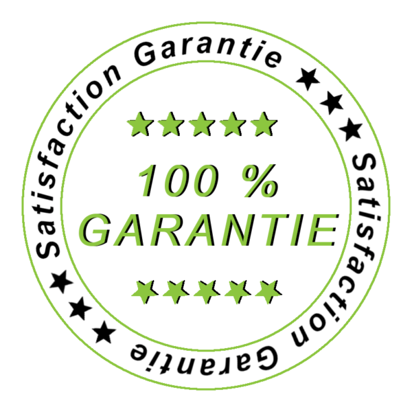Destruction garantie nid de frelon