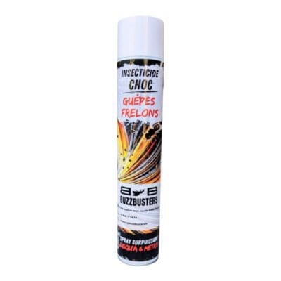 aerosol insecticide frelons guepes