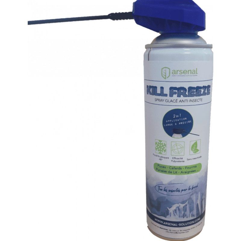 Spray froid insecticide