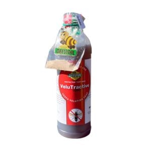 attractif a frelons velutractive beevital