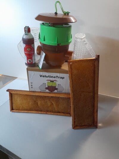 Velutina Trap BeeVital