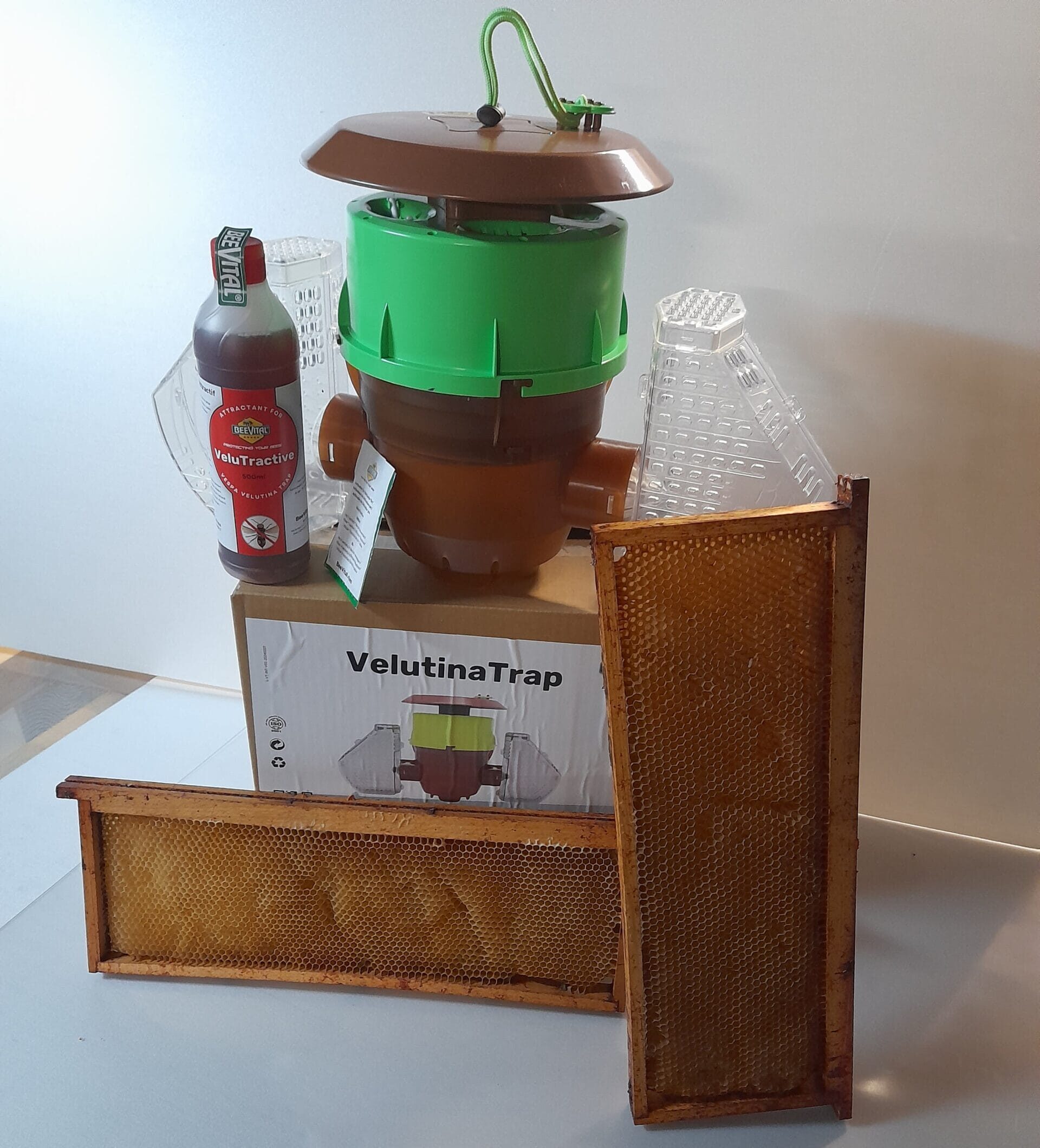 Velutina Trap BeeVital