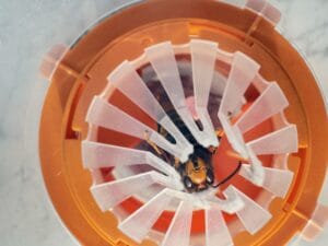 BSI - Puissant Piège A Guêpes Et Frelons - Adapté Aux Frelons Asiatiques - Naturel - Réutilisable, Translucide / Jaune